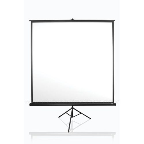 EliteScreens 120" (4:3) mobil háromlábú vászon T120NWV1 (244 x 183 cm, Fehér)