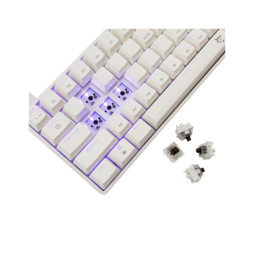 WHITE SHARK GK-004231W/BR-US SHINOBI-2/W-BR-US mech. bill. 61 barna gomb,fekete,angol