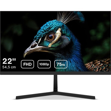 Dahua LM22-B201S 21.45" IPS LED monitor fekete 75Hz