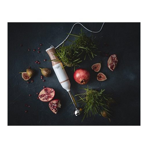 Adler BOTMIXER AD4616