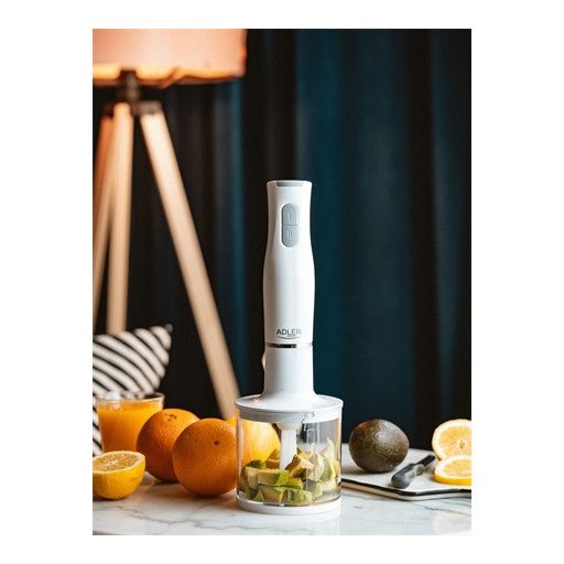 Adler BOTMIXER SZETT AD4620