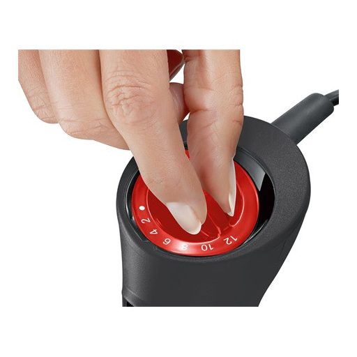 Bosch BOTMIXER VÁKUUMOZÓ KÉSZLETTEL MS6CB61V1